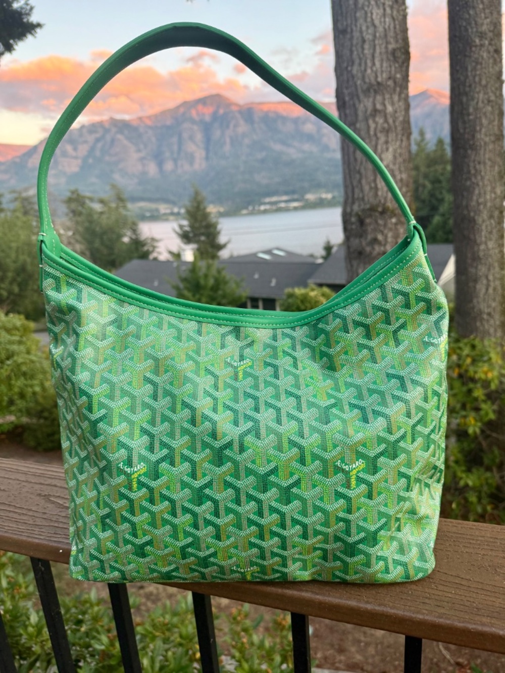 Goyard Meadow Green Boheme PM Hobo Bag - Read Description - Picture 6 of 13